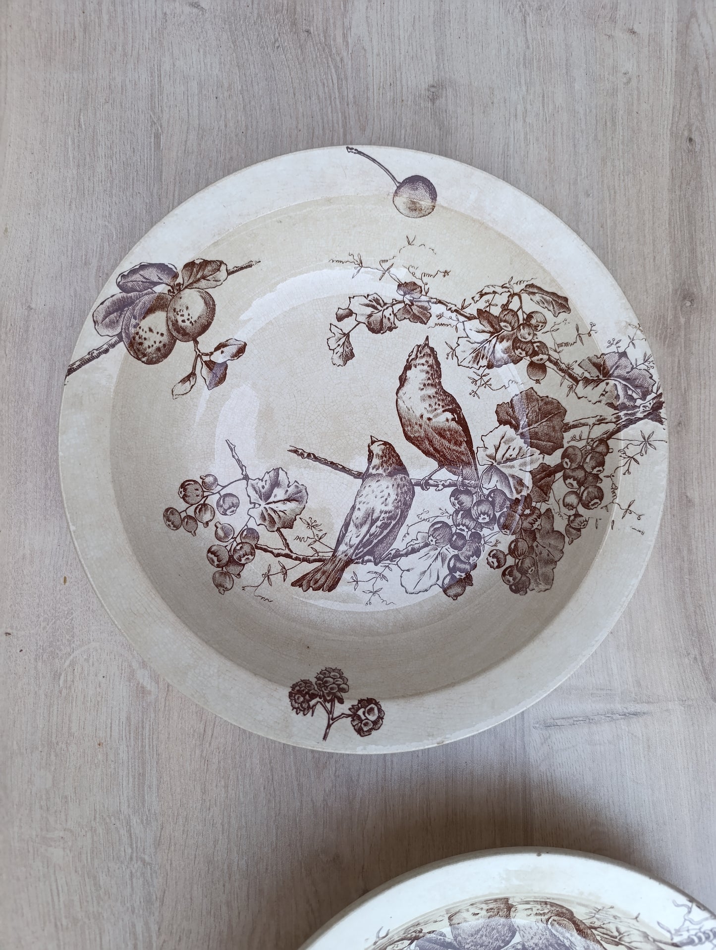 Saladier bas terre de fer oiseaux Choisy le Roi