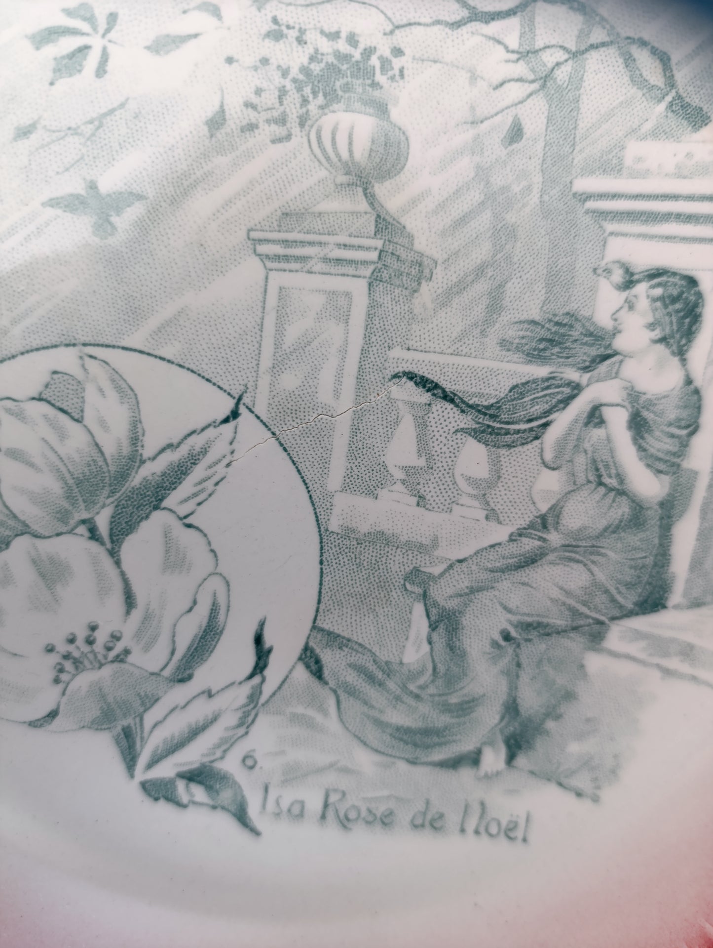 Assiette la rose de Noël Digoin Sarreguemines