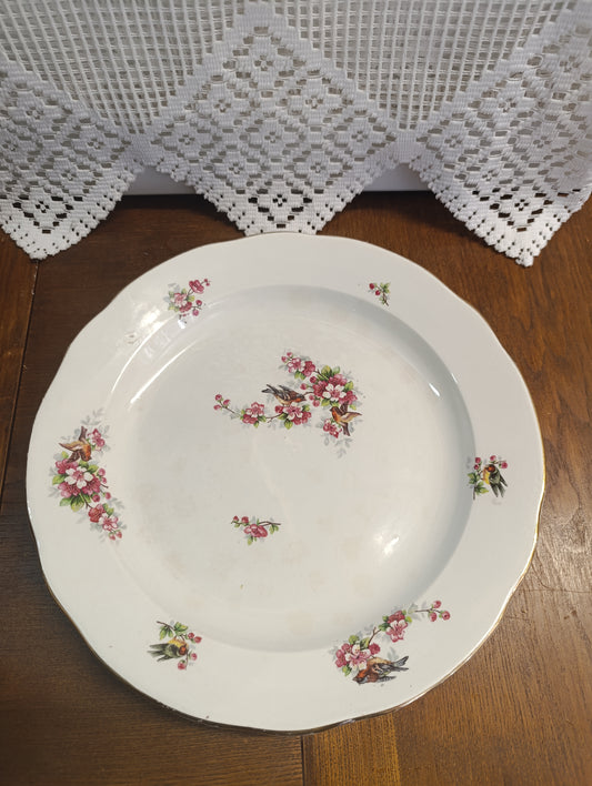 Plat oiseau Onnaing