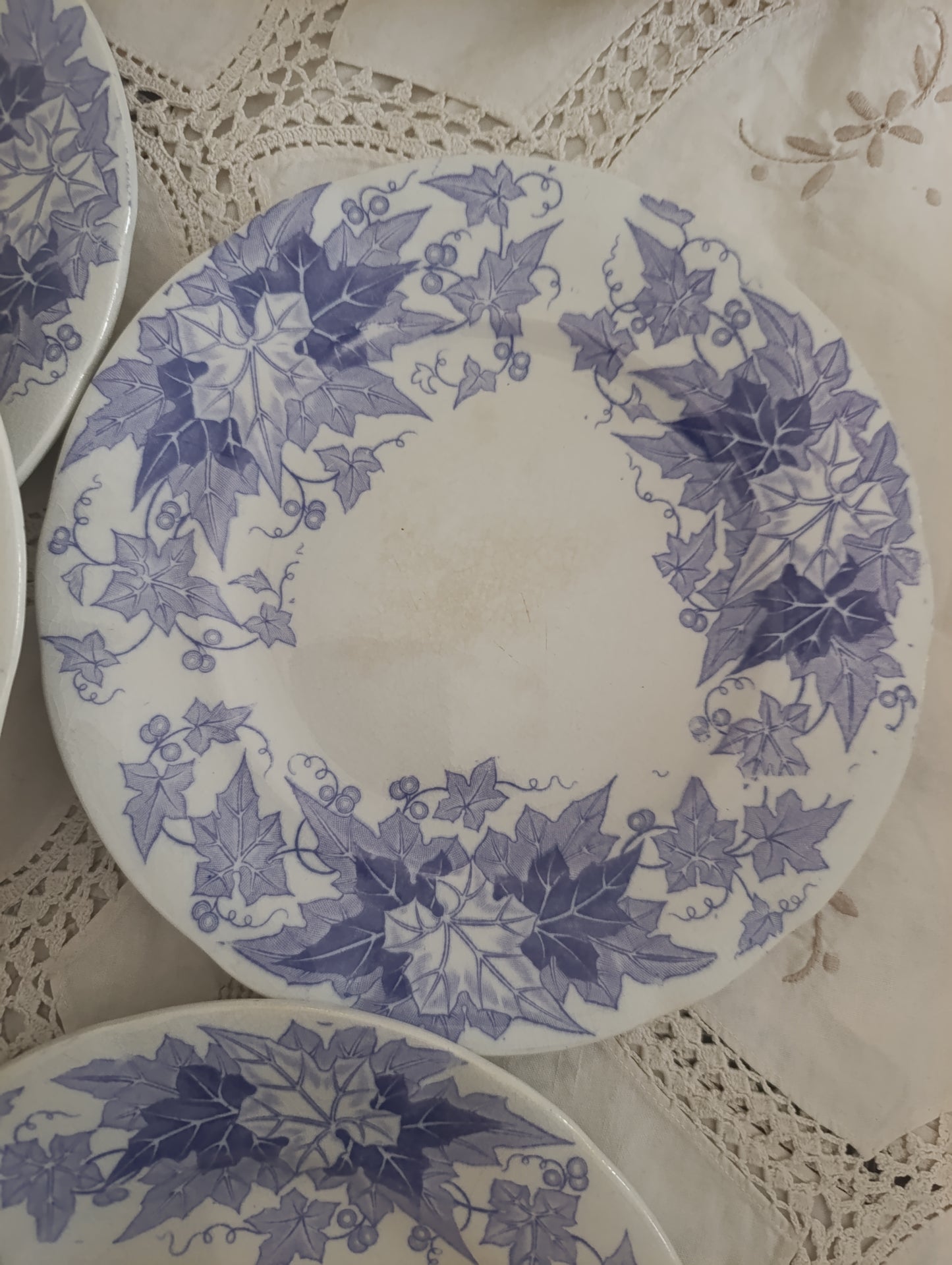 Assiette dessert Bryonia