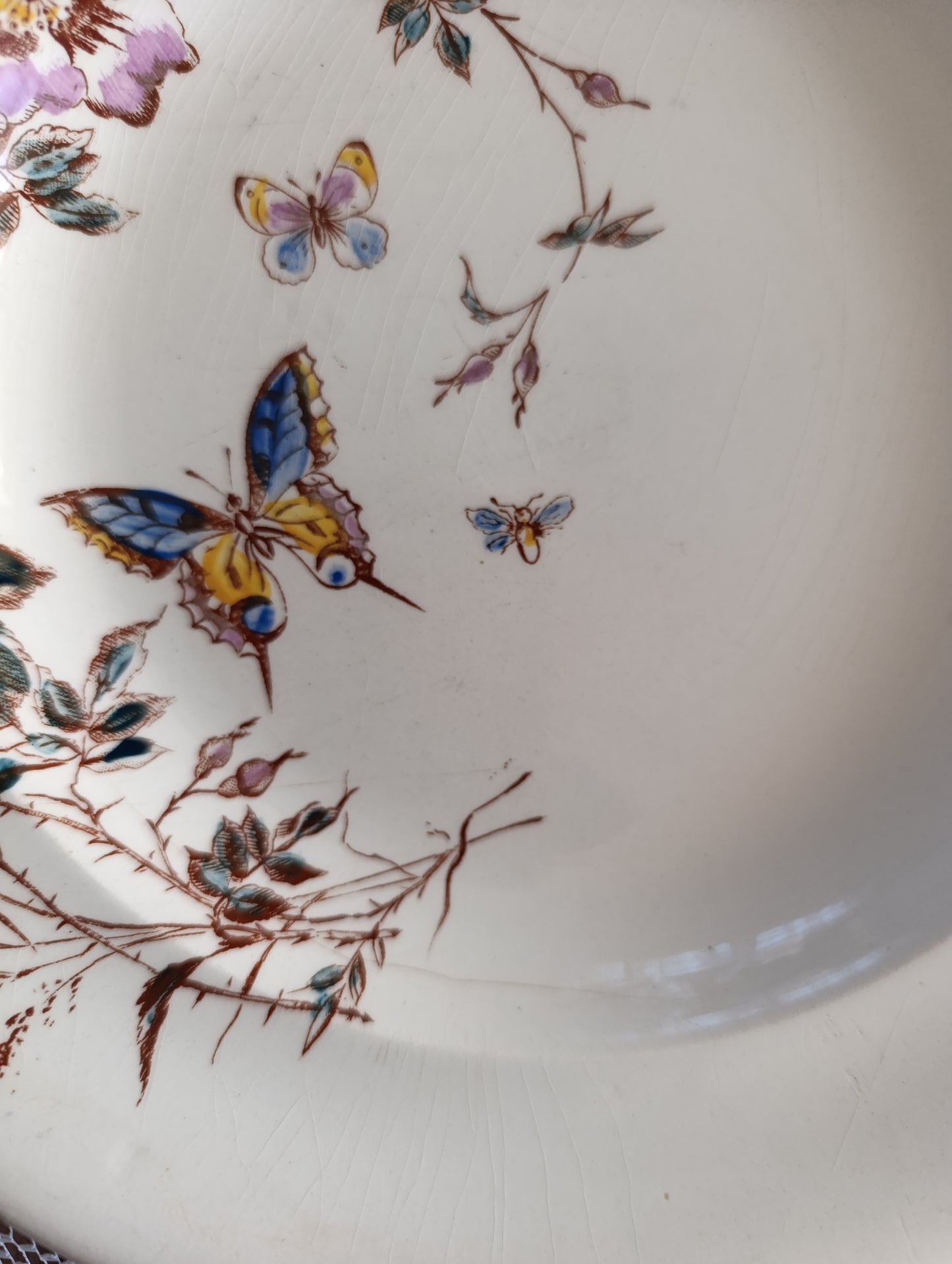Assiette terre de fer Fleurs des champs SG Clairefontaine