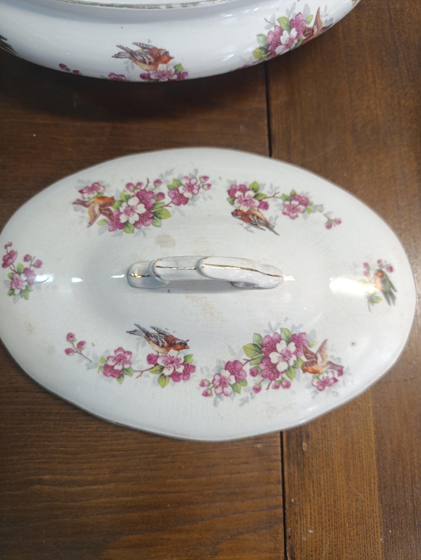 Légumier Oiseau Onnaing