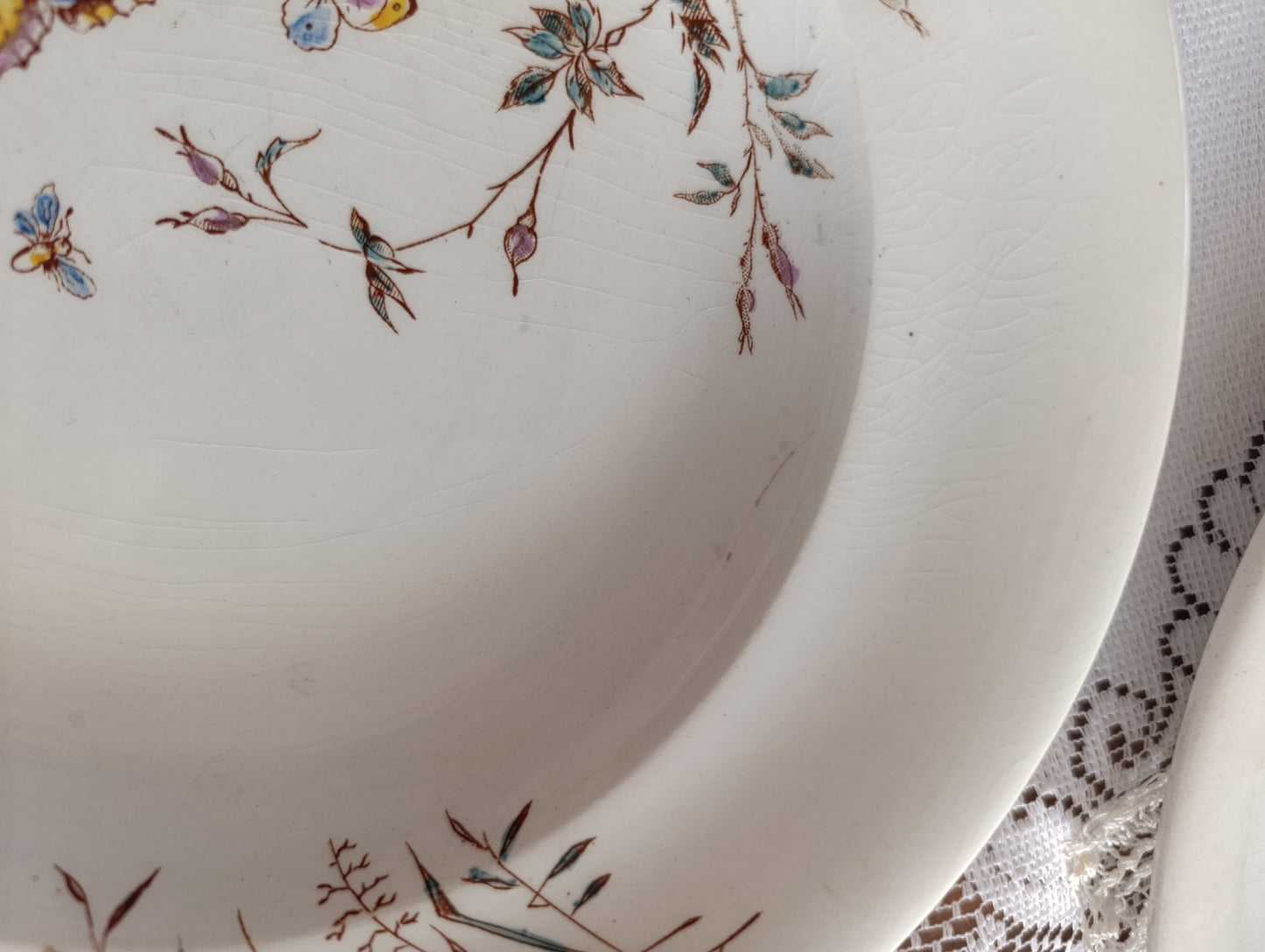 Assiette terre de fer Fleurs des champs SG Clairefontaine