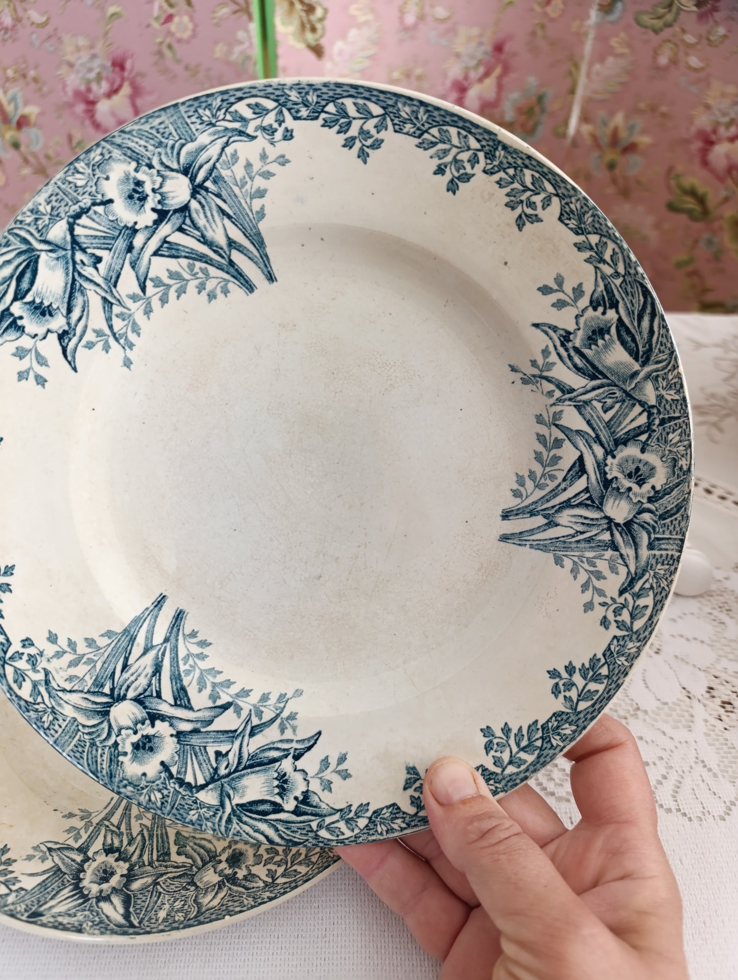 Assiette terre de fer Narcisses