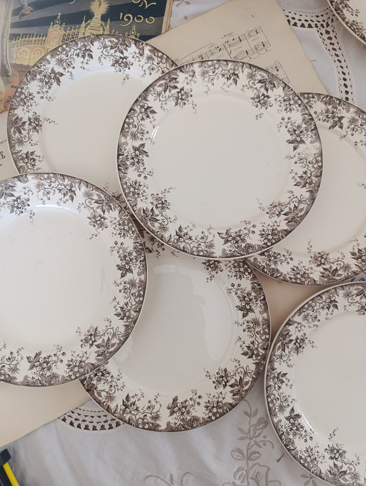 Assiette Alphand Sarreguemines terre de fer sepia