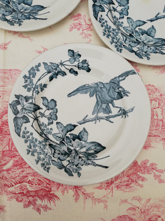 Assiette Longwy Terre de Fer