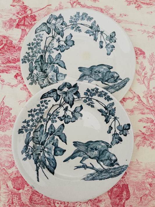 Assiette Longwy Terre de Fer