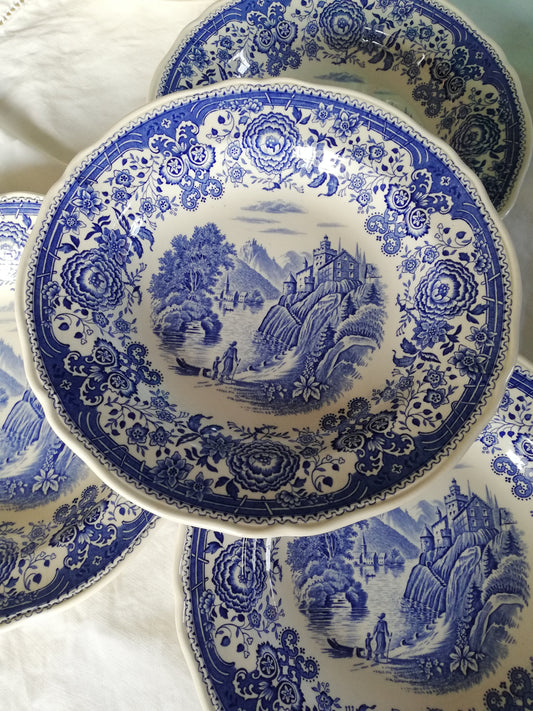 Burgenland tiefer Teller Villeroy und Boch