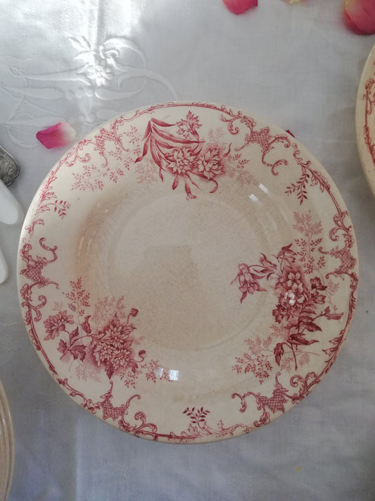 Tiefer Teller Floréal Choisy le Roi